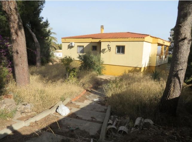Vista exterior de Casa o xalet en venda en Alberic amb Jardí privat i Terrassa