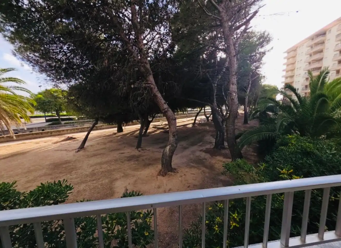 Appartement compact avec piscine à vendre à Miramar, imagen 4