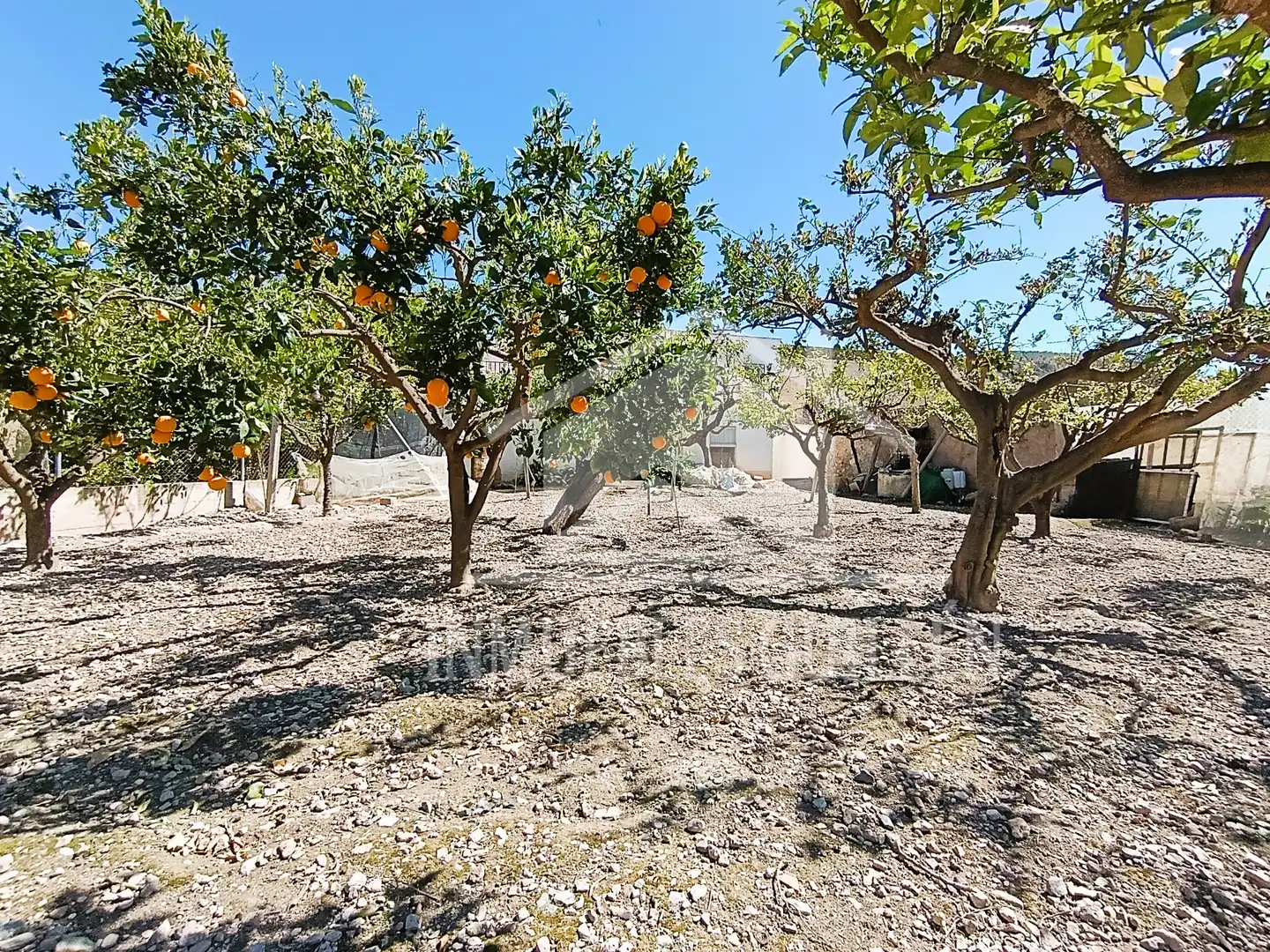Detached house with garden for sale in Berja, imagen 7