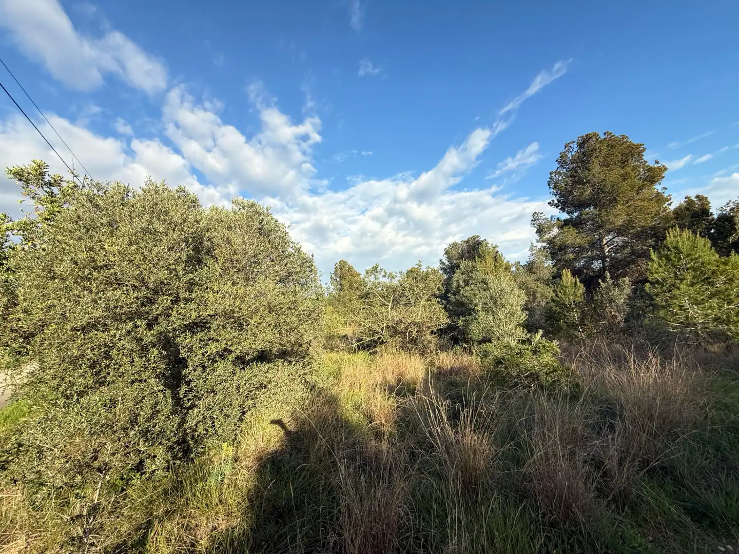 Wohnbaugrundstück zum Verkauf in La Franquesa - Oasis Park, imagen 3