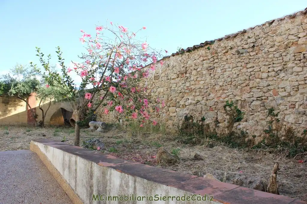 Haus mit Garten zum Verkauf in Constitución, imagen 83