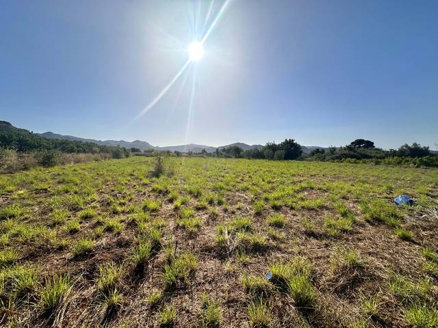 Terreno en Venta en Pego
