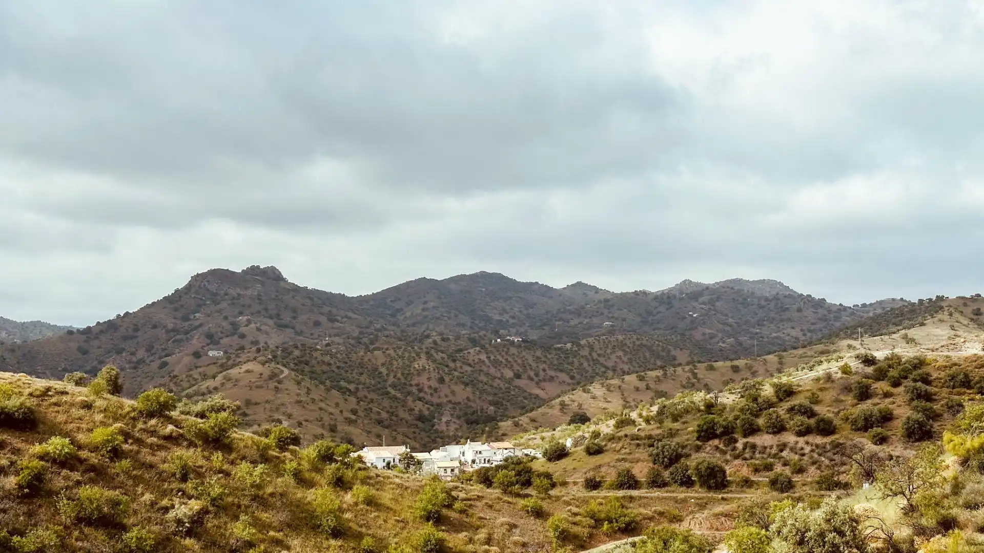 Exterior view of Houses for sale in Almogía