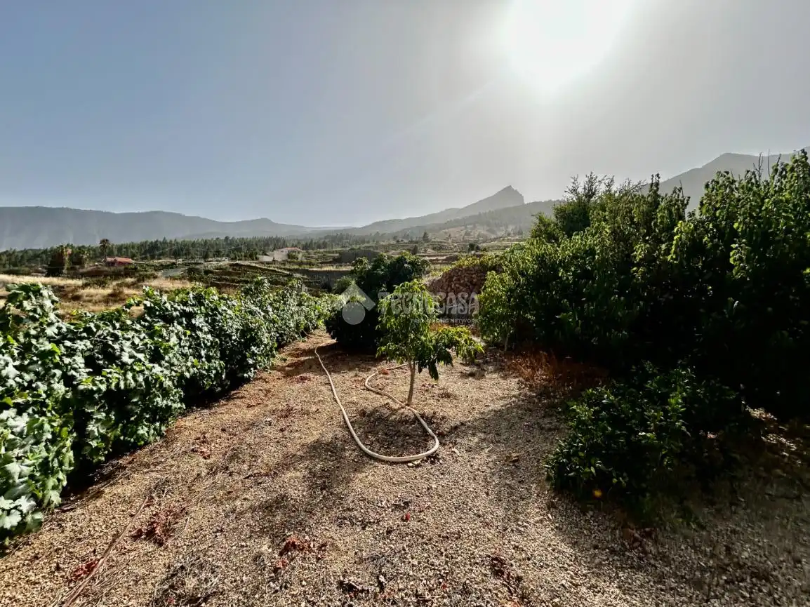 Country homes for sale in Arafo