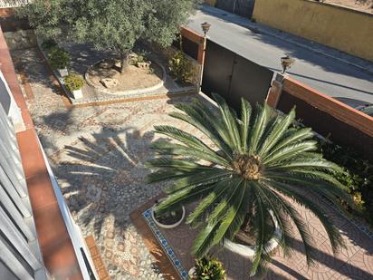 Garden of House or chalet for sale in Castellón de la Plana / Castelló de la Plana  with Heating, Private garden and Terrace