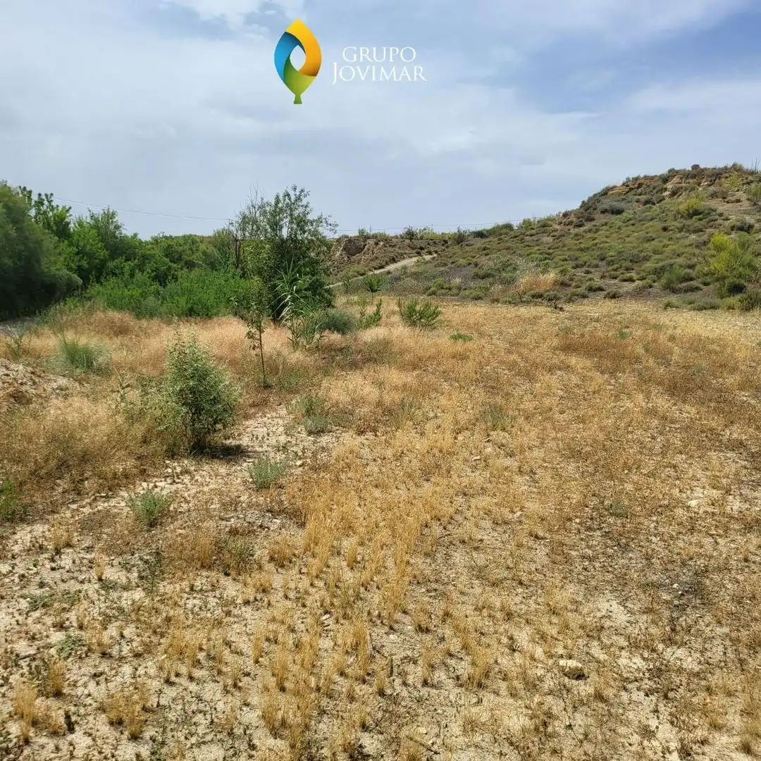 Terreno rustico in vendita a Caniles, imagen 14