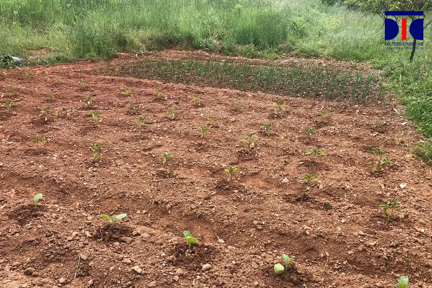 Finca rústica en venta en Fuenteheridos con Aire acondicionado, Calefacción y Jardín privado