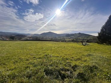 Terreno rustico in vendita a Gijón - CM DE LEORIO 0