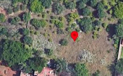 Foto 5 de Finca rústica en venda a Marrada, Estación - Universidad, Castellón