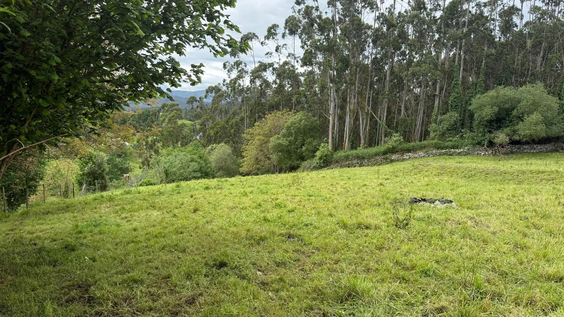 Terreno en venta en Valdáliga
