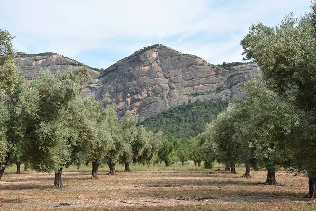 Terreno en Venta en Horta de Sant Joan