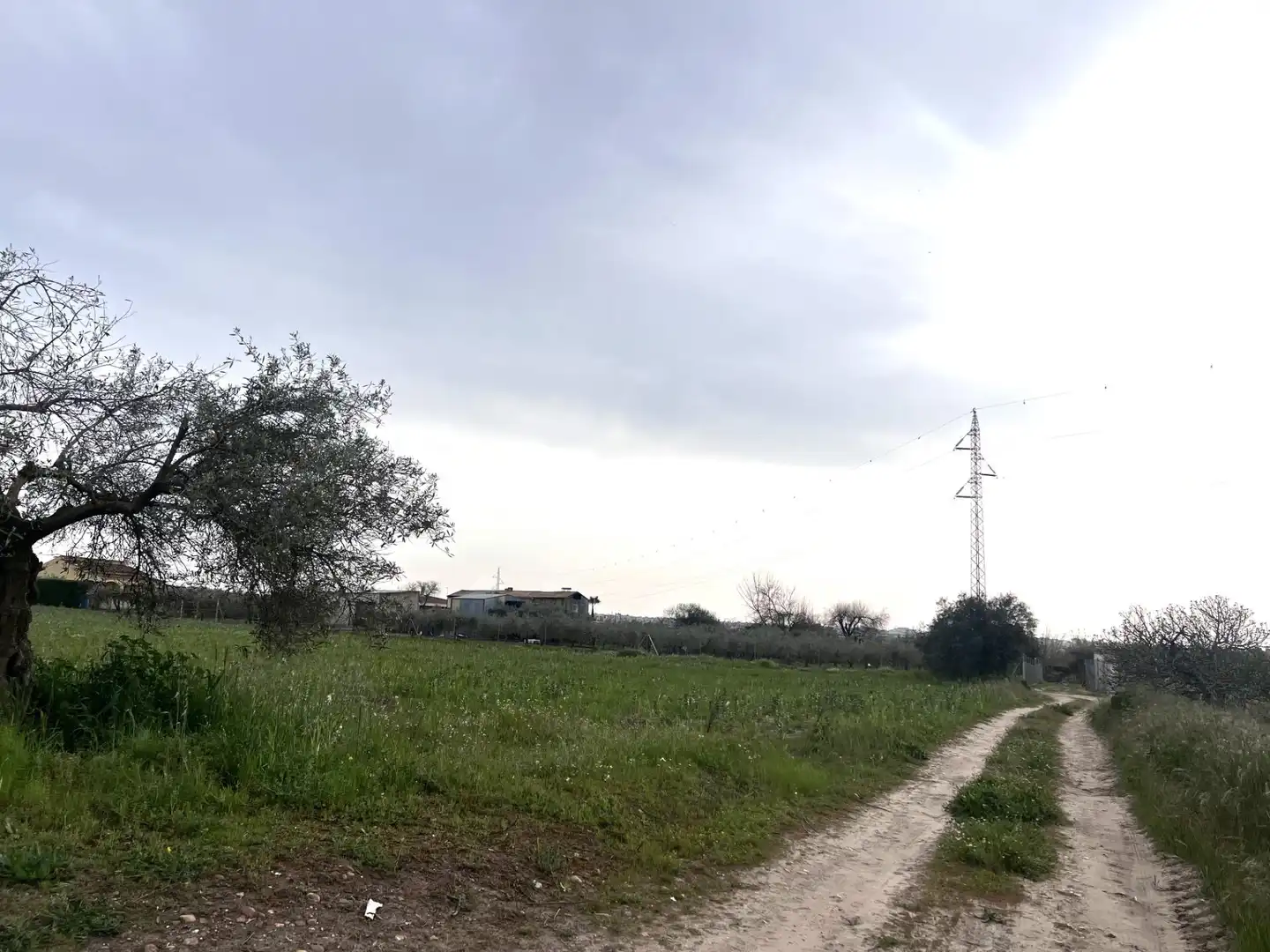 Rustikales Grundstück zum Verkauf in Don Benito, imagen 6