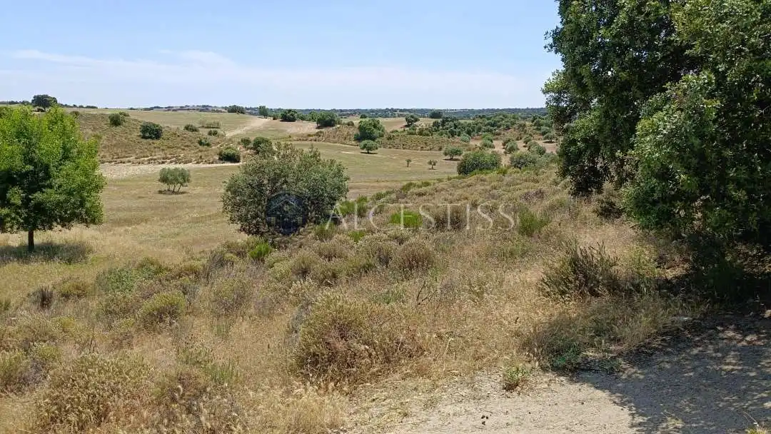 Land for sale in Méntrida