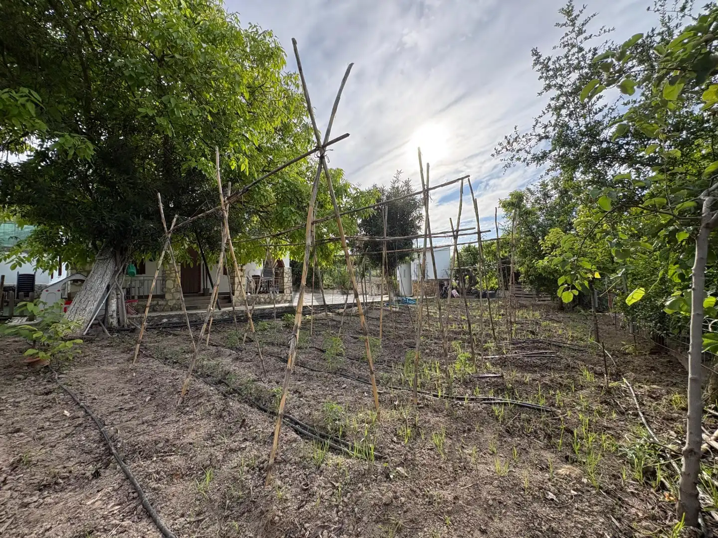 Garten von Haus oder Chalet zum Verkauf in Lucena mit Privatgarten, Abstellraum und Schwimmbad