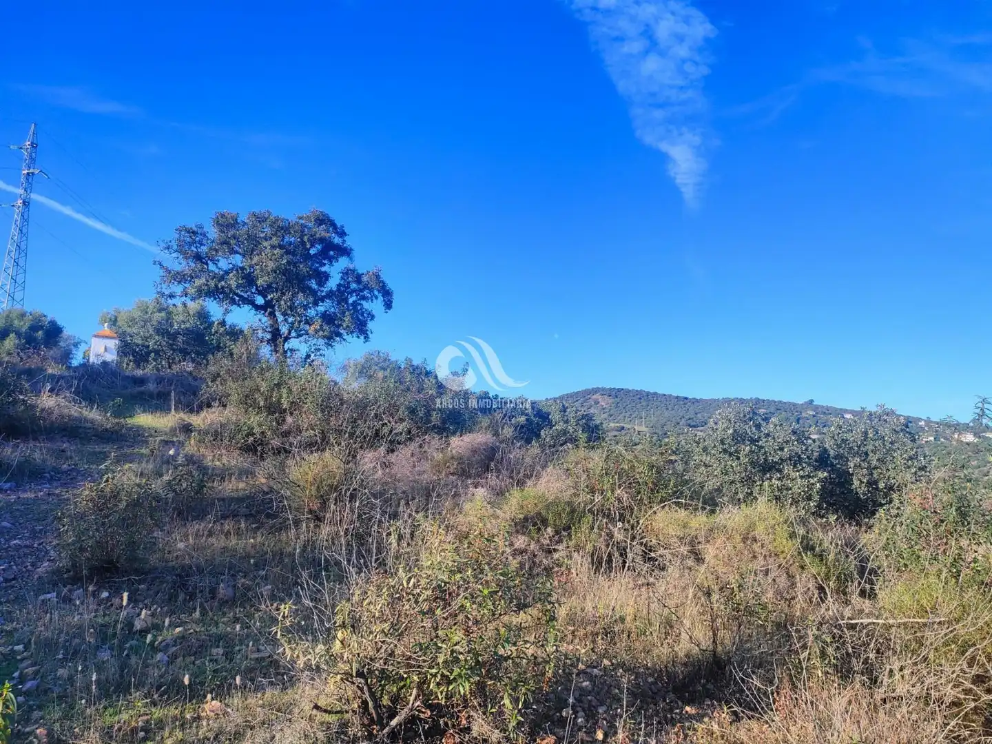 Residencial de alquiler en Alcolea