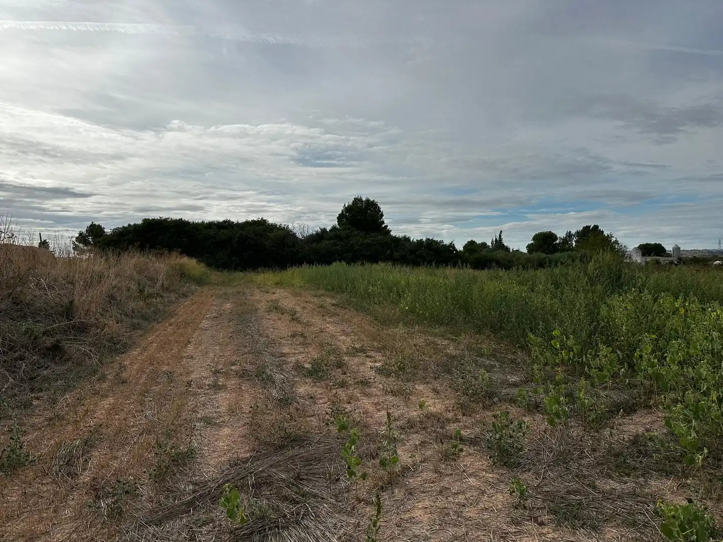 Land for sale in Albatàrrec
