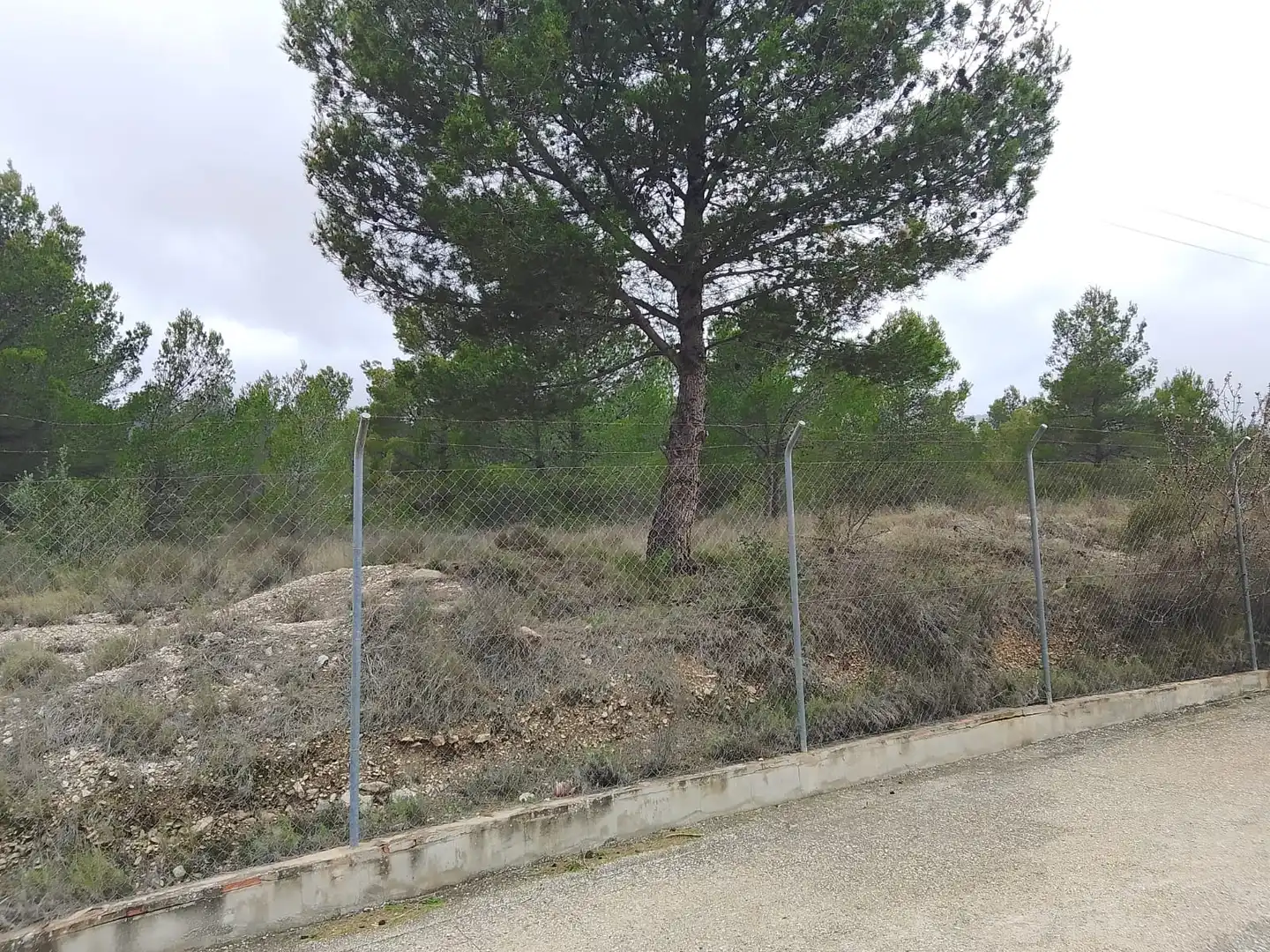 Casa o xalet en venda en Tibi amb Jardí privat, Terrassa i Moblat