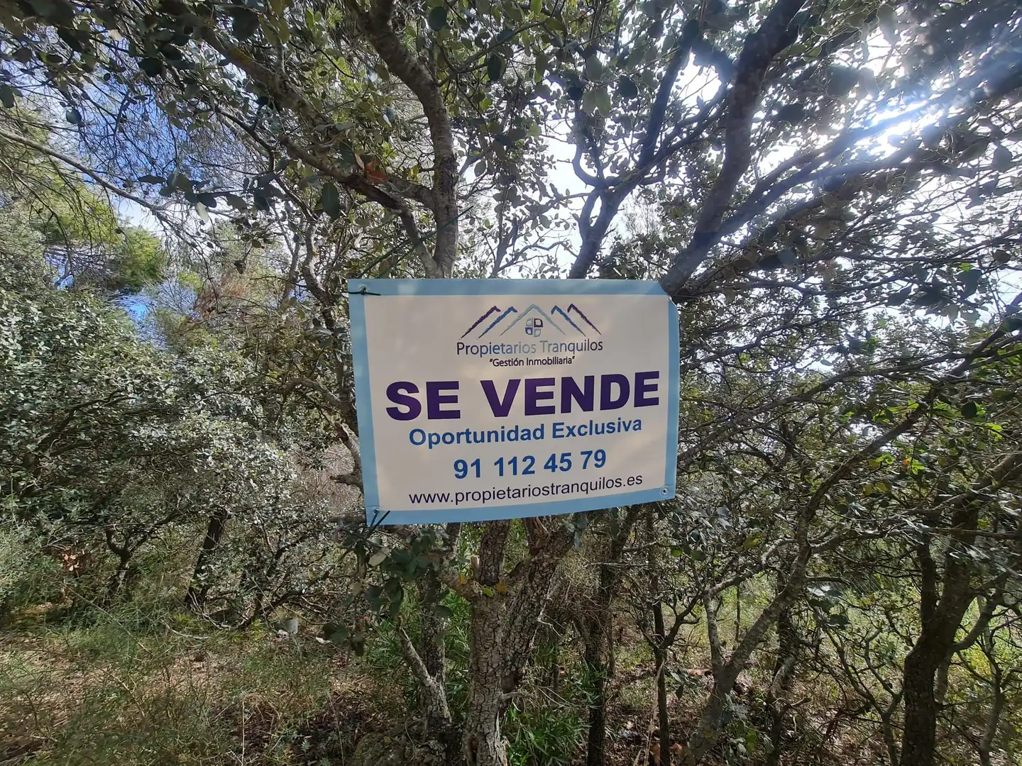 Terreny residencial en venda a Calle Nueva Sierra BP, imagen 22