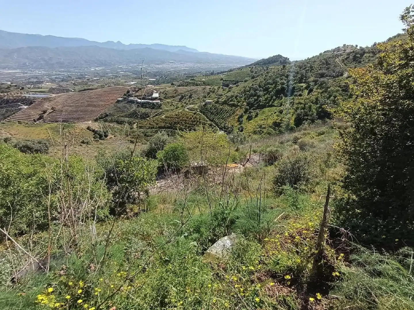 Casa o xalet en venda en Iznate amb Jardí privat, Terrassa i Traster