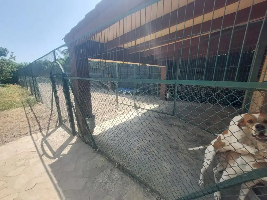 Casa con terraza en venta en Pueblo - Urbanizaciones, imagen 18