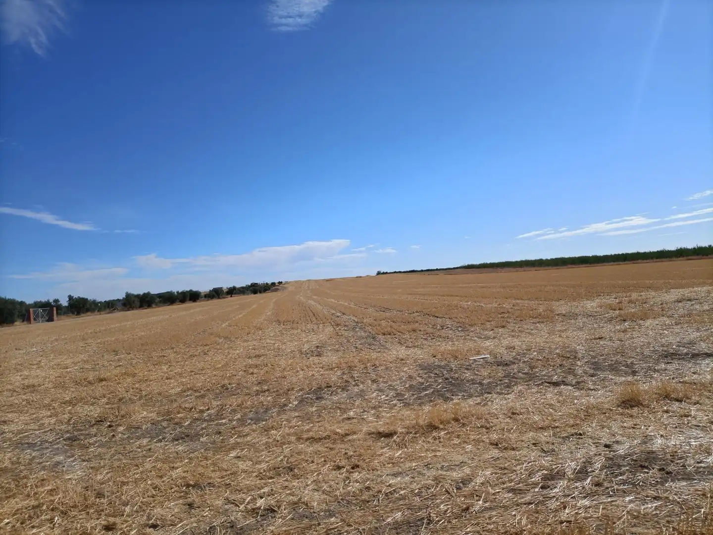 Terrain rustique à vendre à Mora, imagen 4