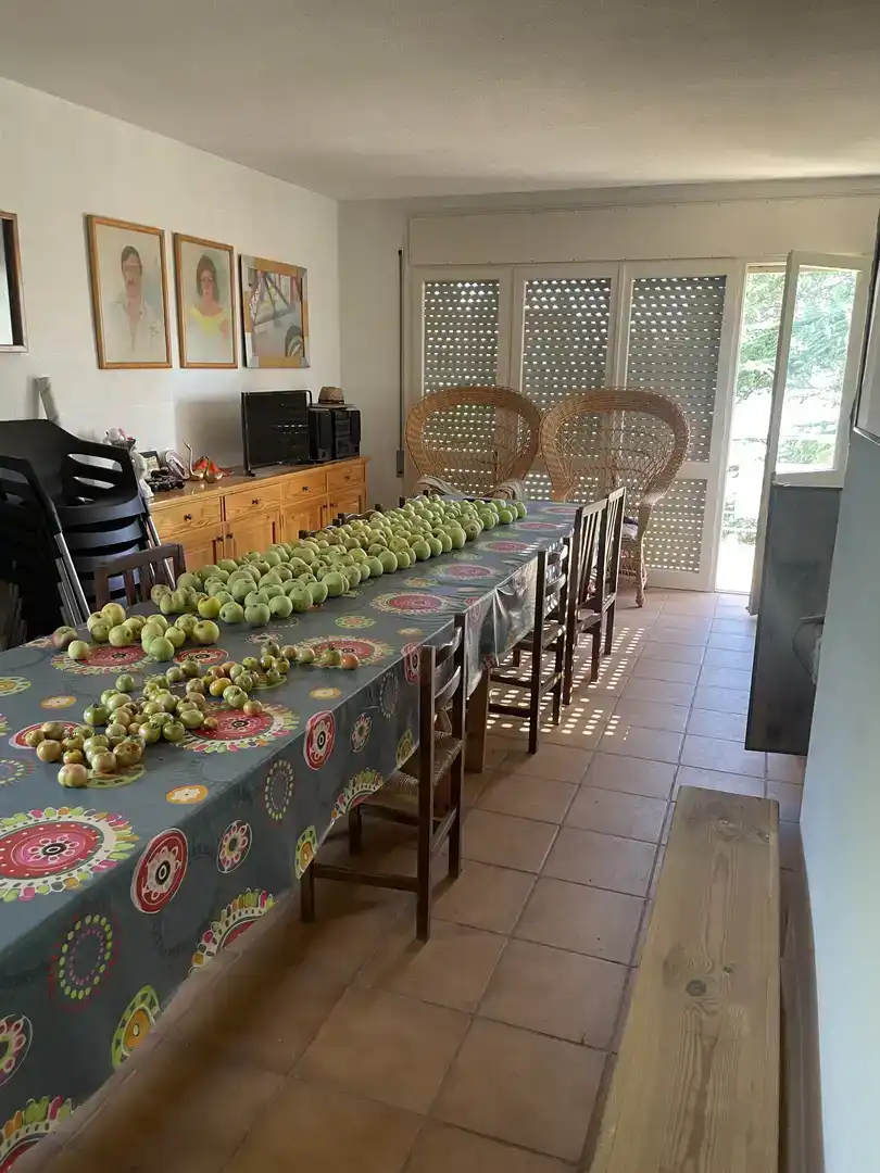 Menjador de Casa o xalet en venda en Castellnou de Bages amb Piscina i Balcó