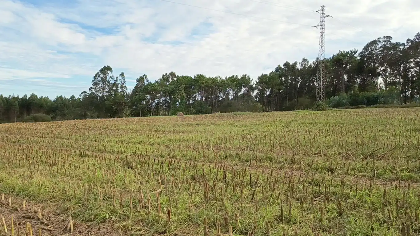 Terreno rústico en venta en Aldea Cabañas, imagen 24