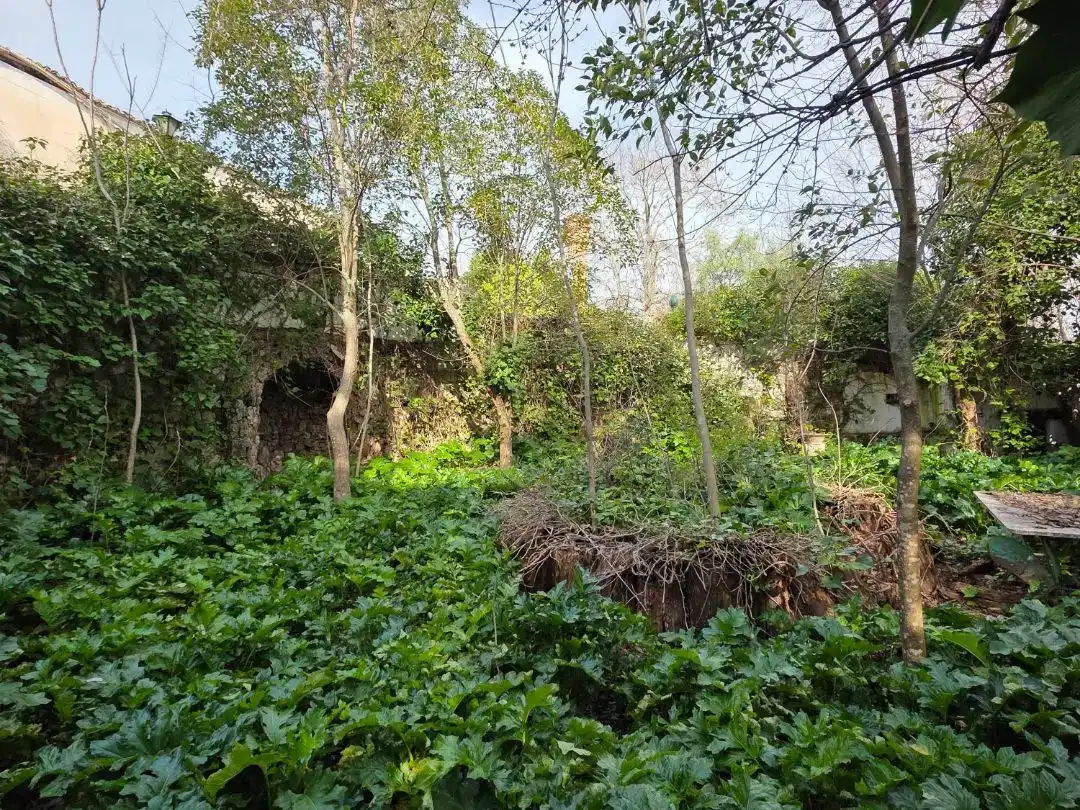 Finca rústica en venta en Cazorla, Jaén