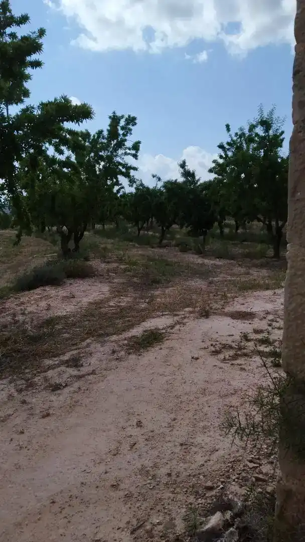 Pis en venda en Bovera