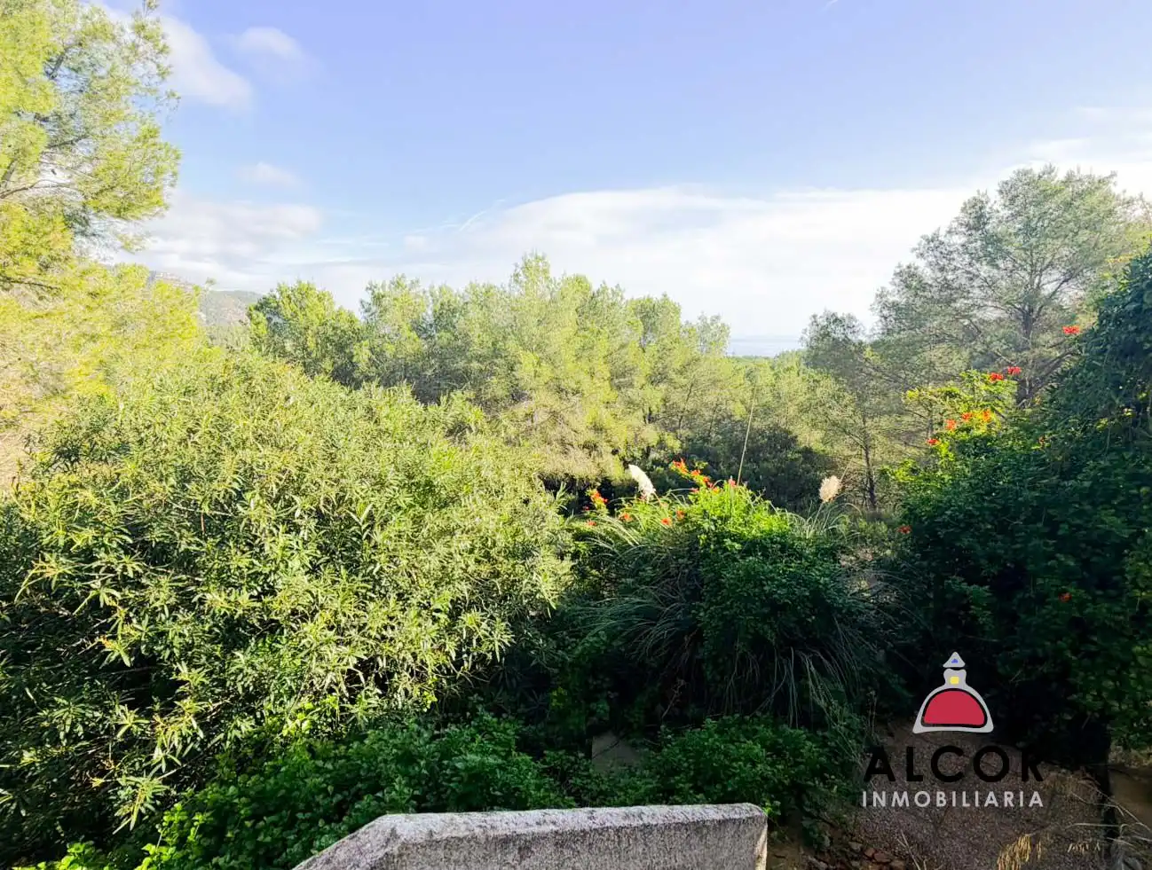 Jardín de Casa o chalet en venta en Alcalà de Xivert con Terraza