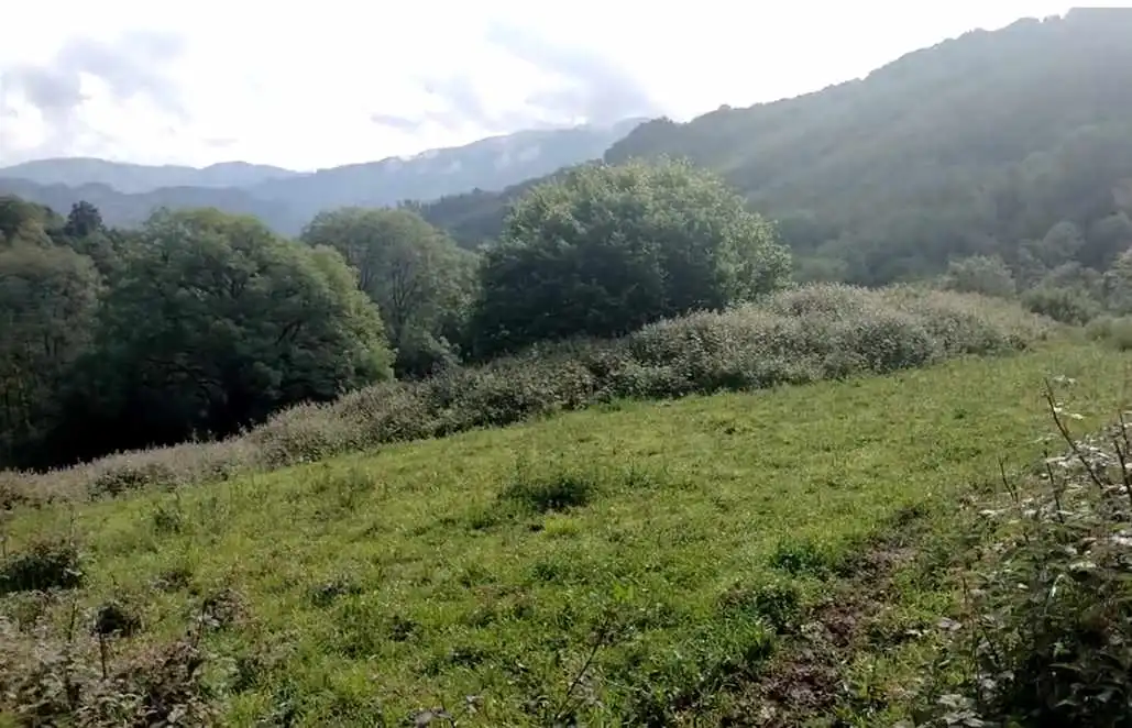Maison rustique à vendre à Aldea Casares 11, imagen 28
