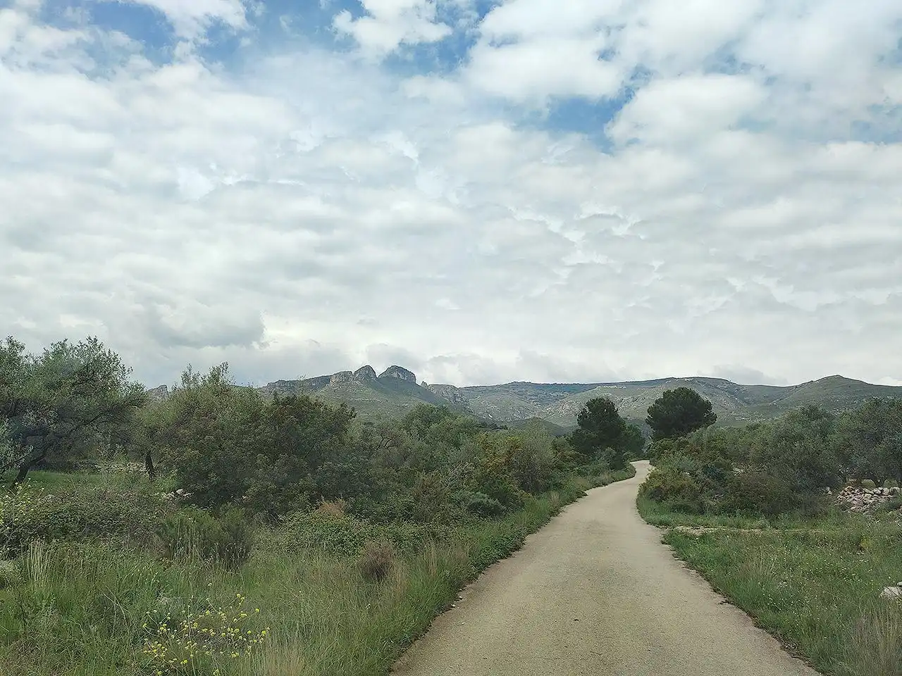 Vista exterior de Finca rústica en venta en La Sénia con Terraza