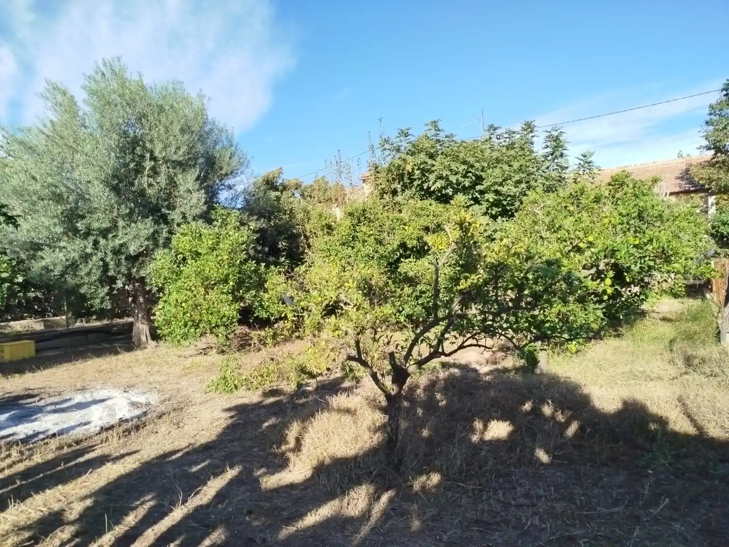 Country homes for sale in Murcia