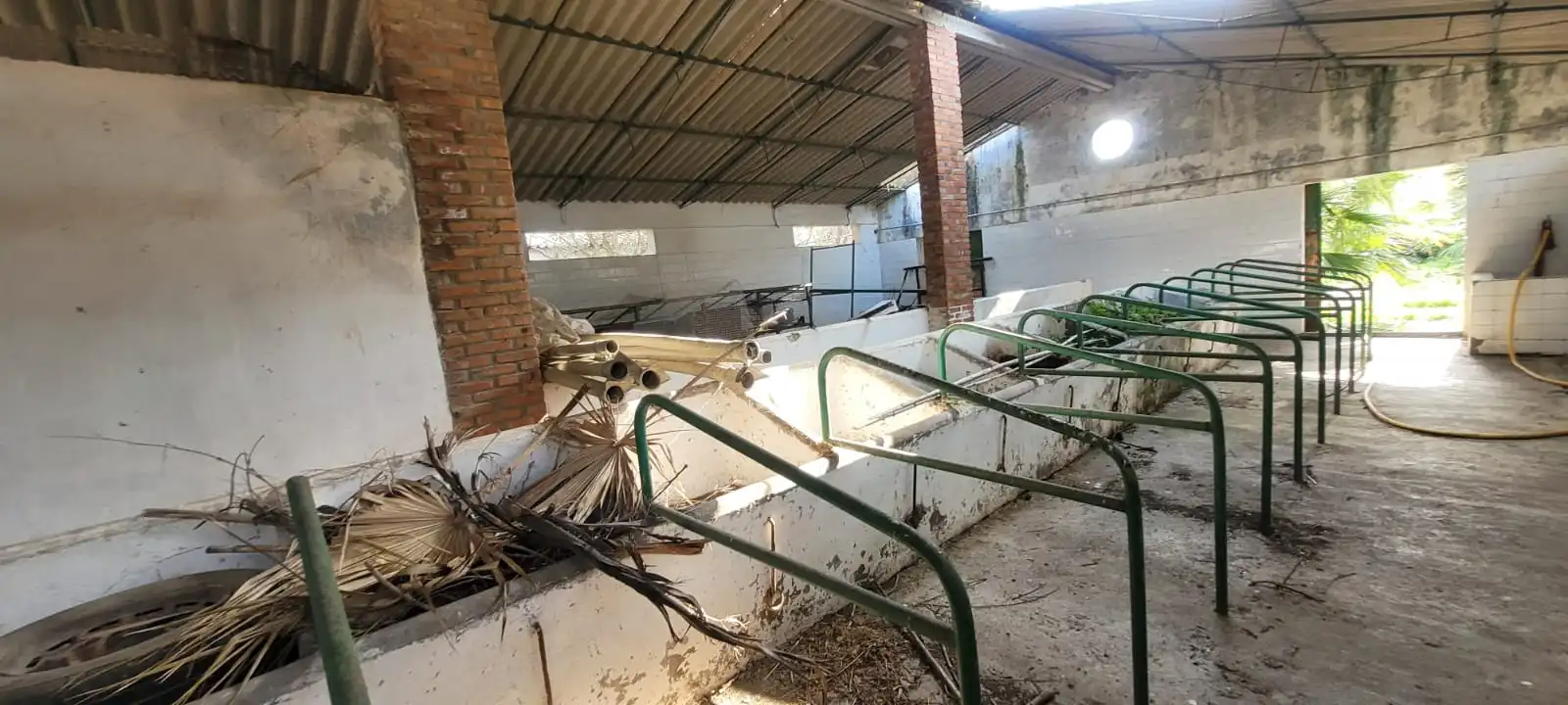 Casa rústica amb piscina en venda a Autovía Los Barrios 8, imagen 18