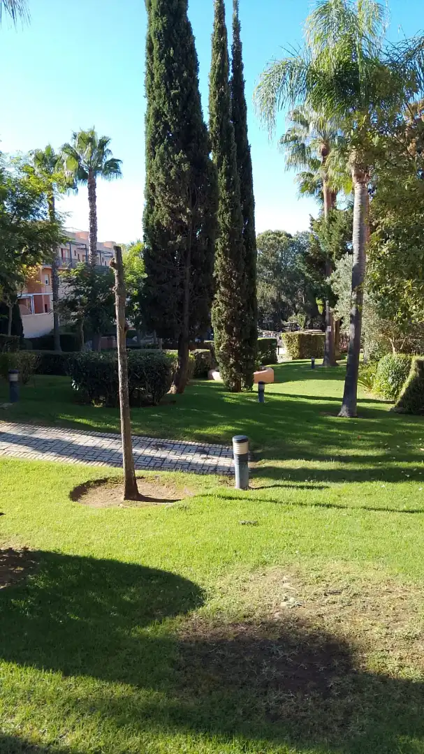 Jardí de Dúplex en venda en Islantilla amb Jardí privat, Terrassa i Traster