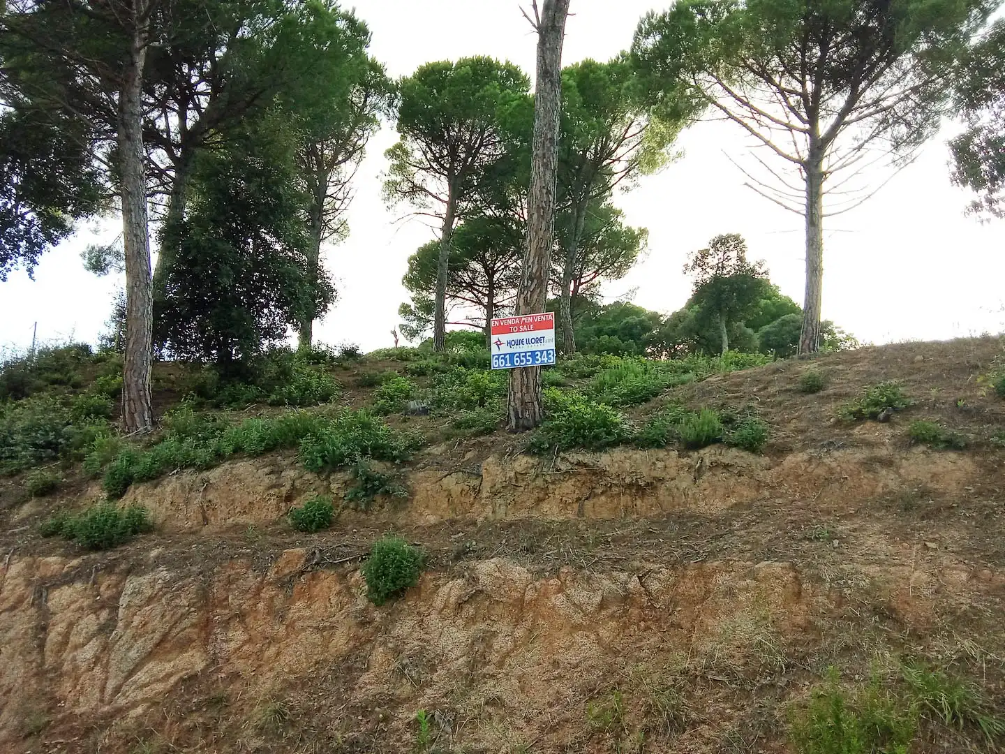 Wohnbaugrundstück zum Verkauf in Carrer d'Arenys de Mar 172, imagen 3