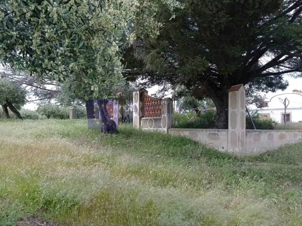 Houses for sale in Diseminados S Miguel, Alcántara