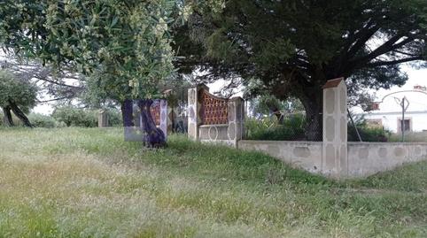 Photo 4 of House or chalet for sale in Diseminados S Miguel, Alcántara, Cáceres