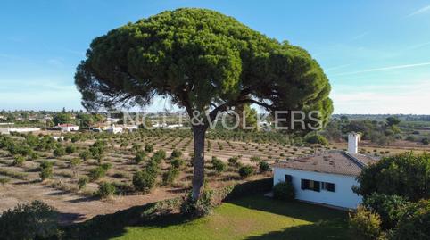 Photo 3 of Country house for sale in Camino de Sanlucar, Sanlúcar la Mayor, Sevilla