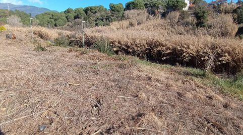 SANT CELONI EL VIRGILI GRAN TERRENO APTO PARA CHALET RODEADO DE NATURALEZA A TOCAR DEL PUEBLO, imatge 2