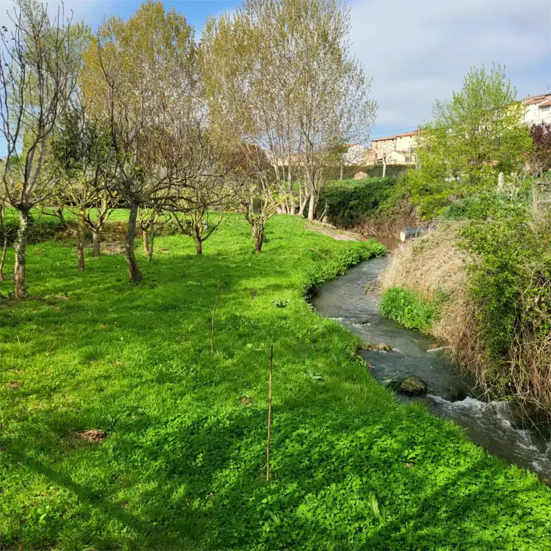 Finca rústica en venda a Paseo del Soto, 4, Hormilleja