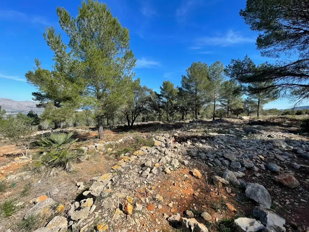 Terreny residencial en venda a Beniarbeig, imagen 3