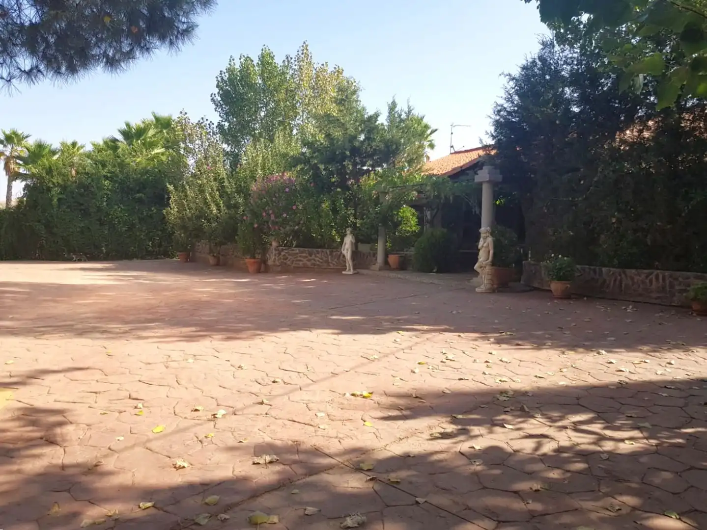 Casa rústica en venda a Torrenueva, imagen 41