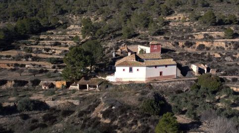 Historic Finca Masía for Sale in Monóvar, Alicante  104 Hectares in the Vinalopó Valley, immagine 5