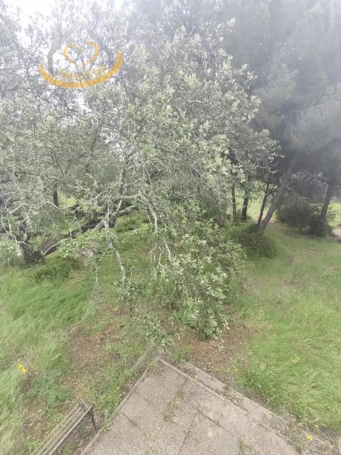 Terreni e lotti in vendita a Villablanca, imagen 10