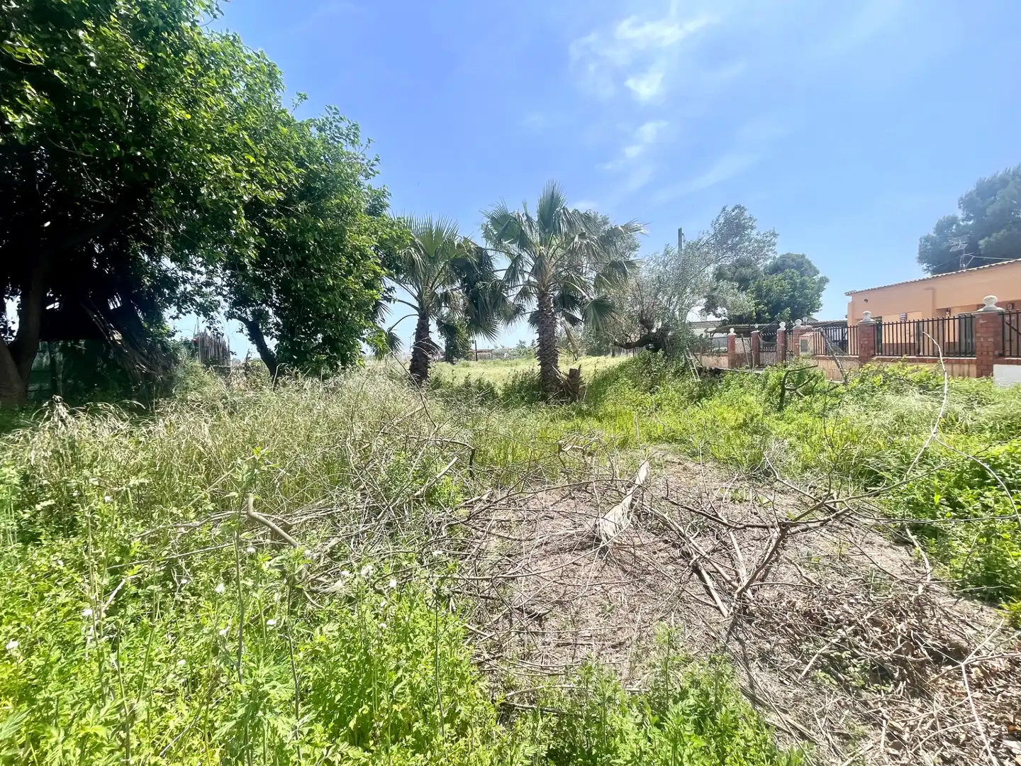 Finca rústica en venda en Moncofa