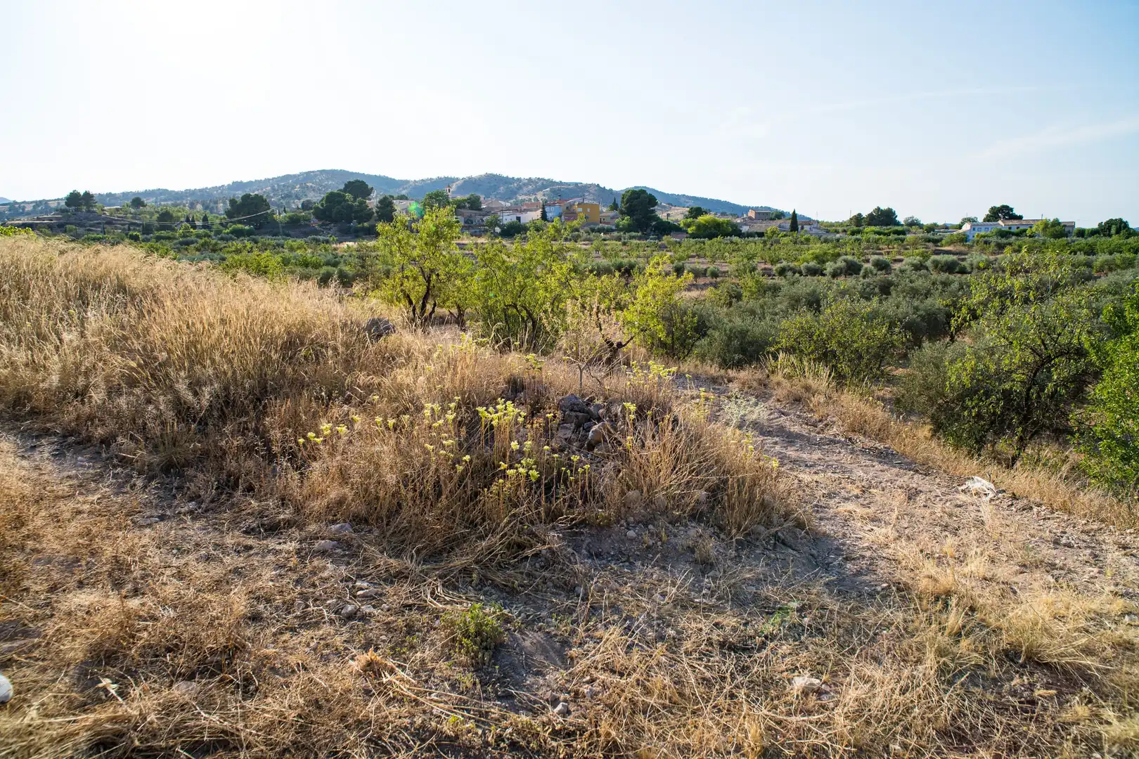 Terraced house for sale in Yecla, imagen 36