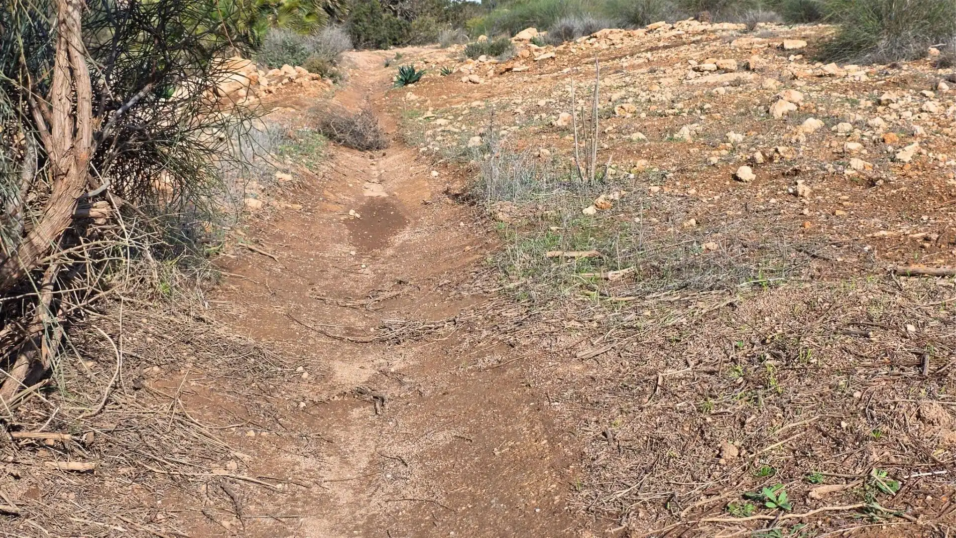 Finca rústica en venda en Níjar