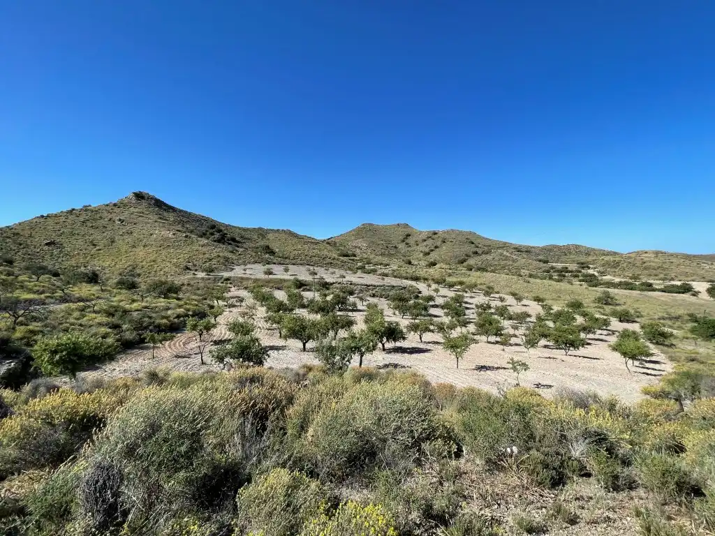 Finca rústica en venda en Pedanías Oeste