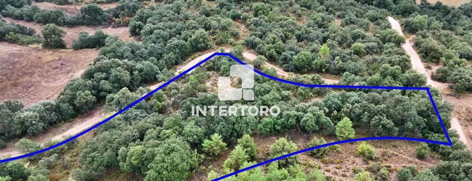 Residential for sale in N/A, Peralta de Calasanz